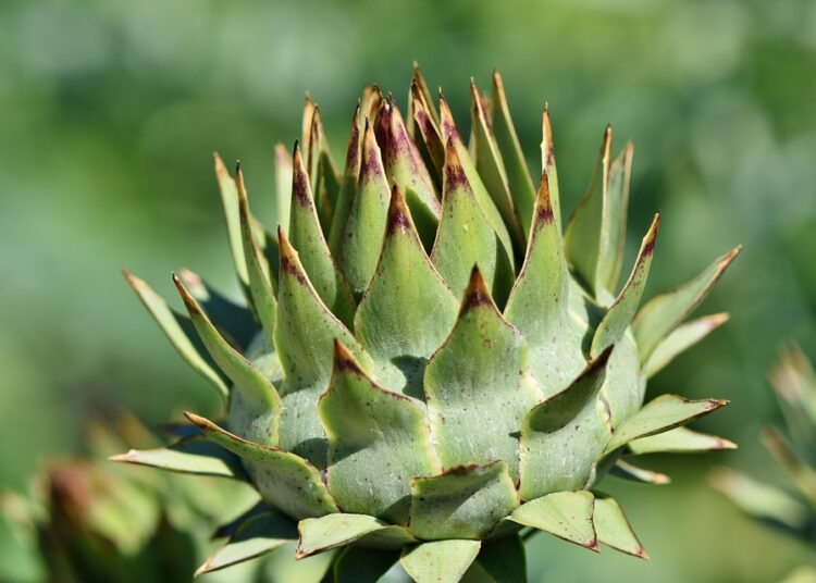 10 Innovative Food Storage Ideas to Maximize Space and Freshness