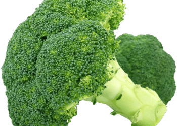 Harvesting the Seasons: A Guide to Seasonal Foraging for Fresh and Flavorful Finds