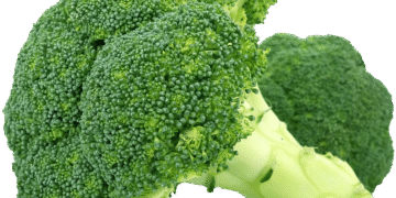 Harvesting the Seasons: A Guide to Seasonal Foraging for Fresh and Flavorful Finds