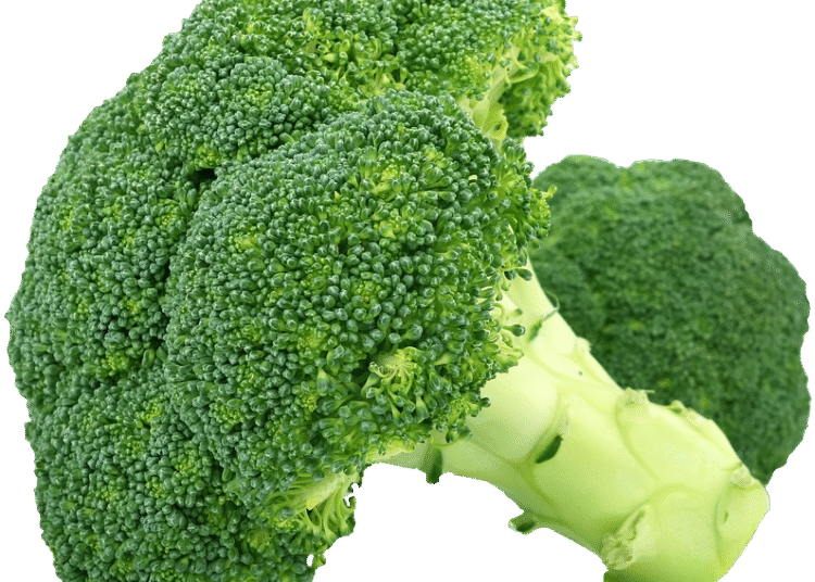 Harvesting the Seasons: A Guide to Seasonal Foraging for Fresh and Flavorful Finds