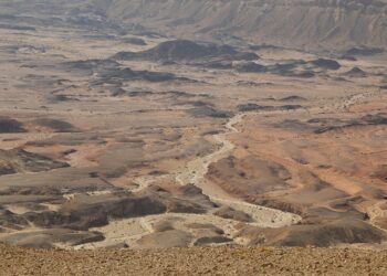 City Survival: How to Be Prepared for Anything in Urban Environments