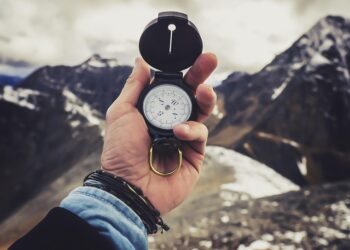 Survive and Thrive: The Ultimate Guide to Edible Survival Plants