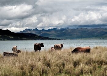 The Ultimate Guide to Essential Medical Supplies: Everything You Need to Know