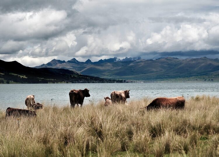 The Ultimate Guide to Essential Medical Supplies: Everything You Need to Know