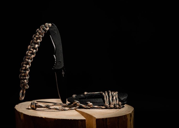 The Art of Food Foraging: Discovering Nature’s Bounty