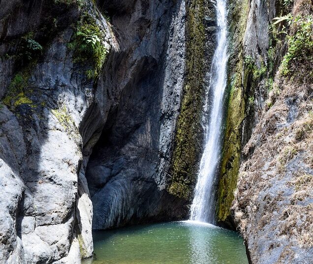 Essential Gear for Thriving in the Wilderness: A Guide to Survival Equipment